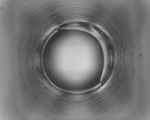 X0000070400969200606161341