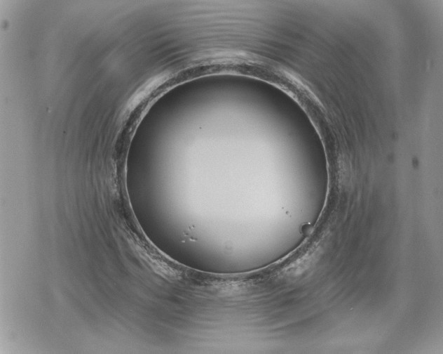 X0000070400970200606161341