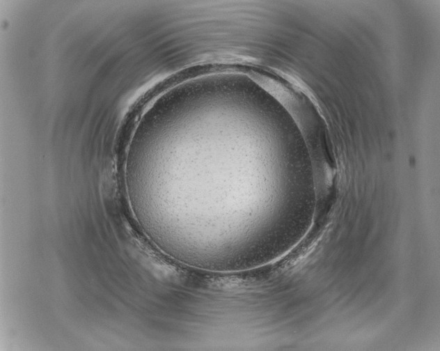 X0000070400971200606161341