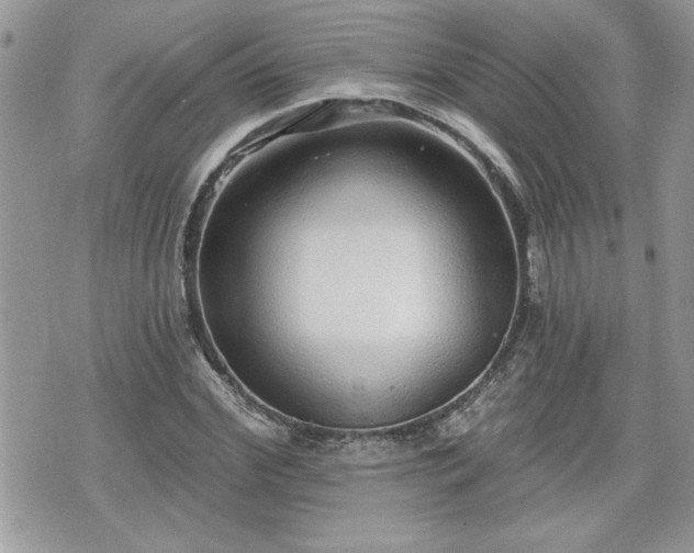 X0000070400972200606161341