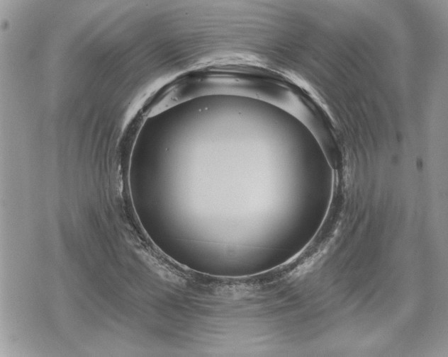 X0000070400973200606161341