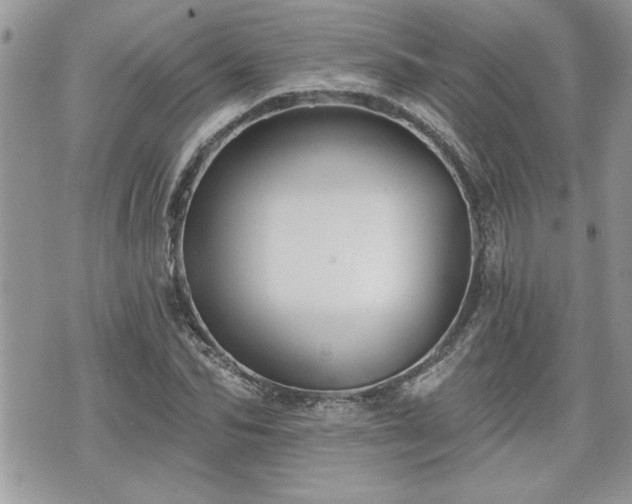 X0000070400974200606161341