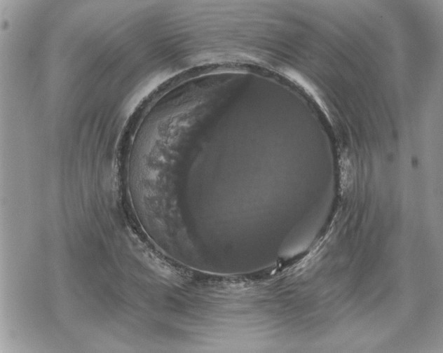 X0000070400975200606161341