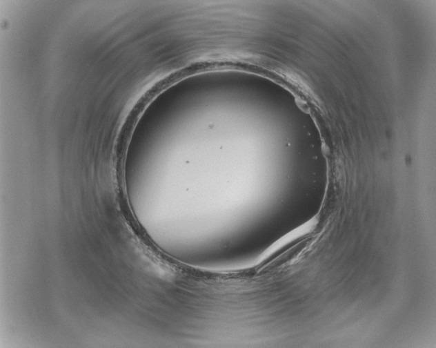 X0000070400976200606161341