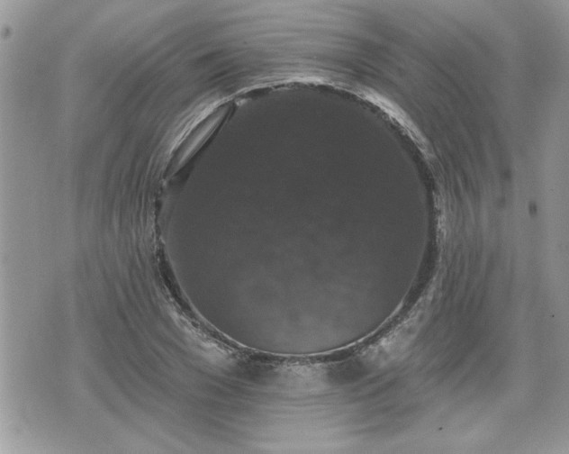 X0000070400977200606161341