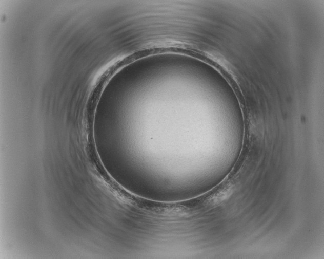 X0000070400979200606161341