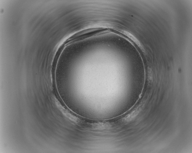 X0000070400980200606161341