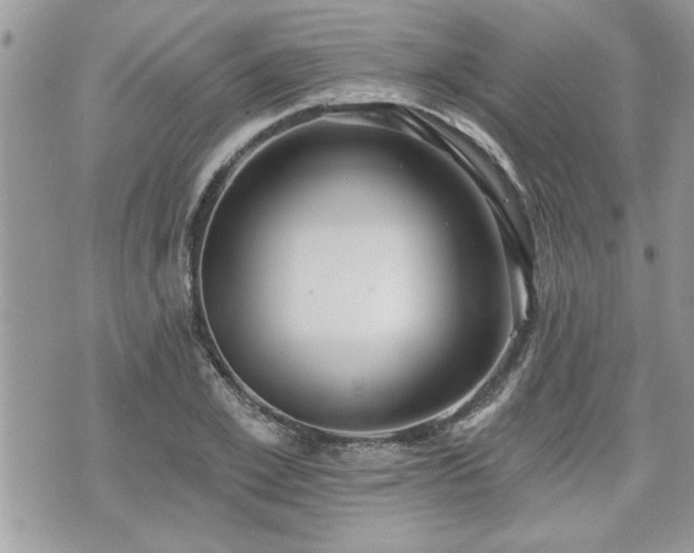 X0000070400981200606161341