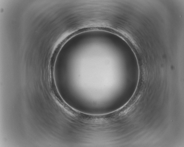 X0000070400982200606161341