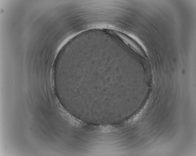 X0000070400983200606161341