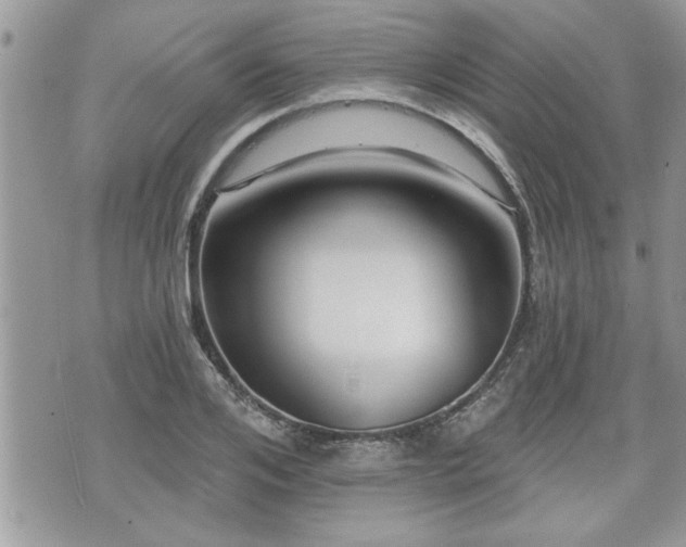 X0000070400984200606161341