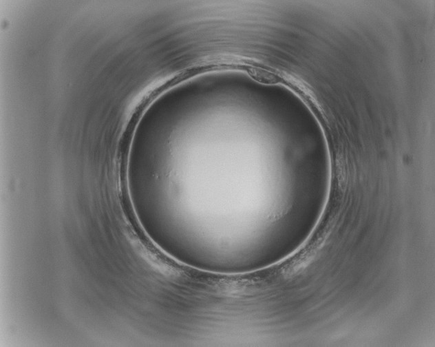 X0000070400987200606161341