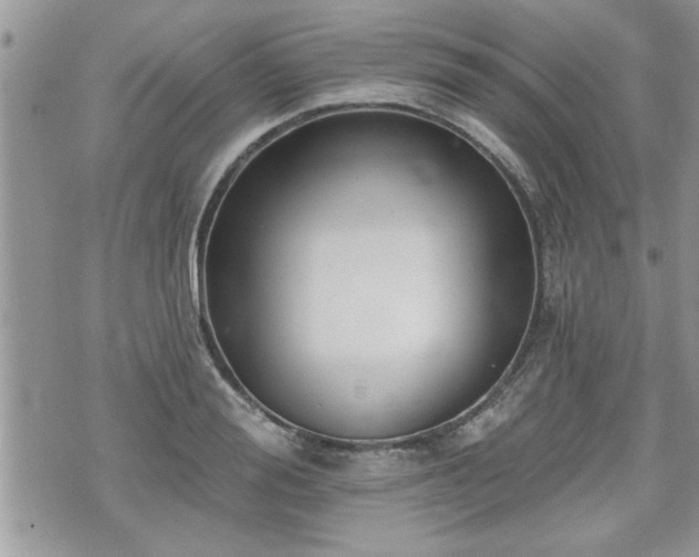 X0000070400988200606161341