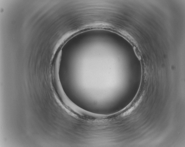 X0000070400989200606161341