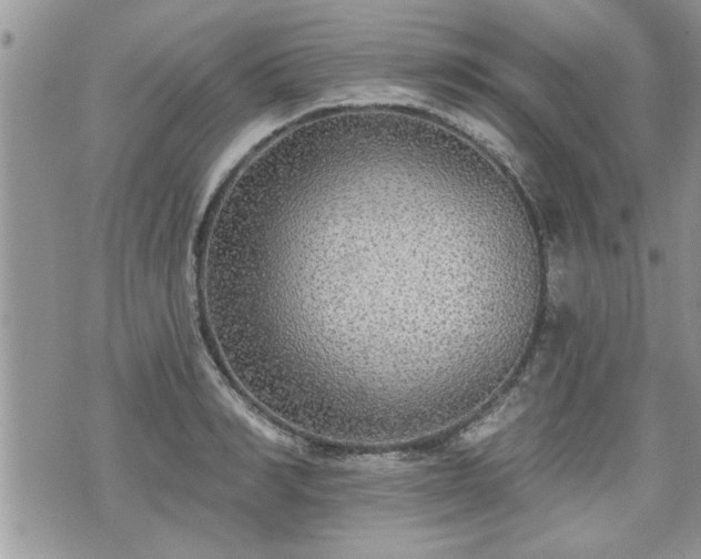 X0000070400990200606161341