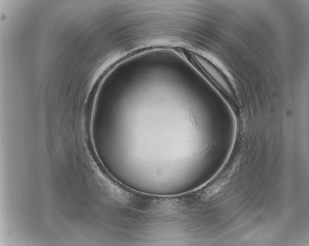 X0000070400991200606161341