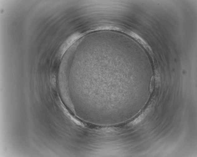 X0000070400993200606161341