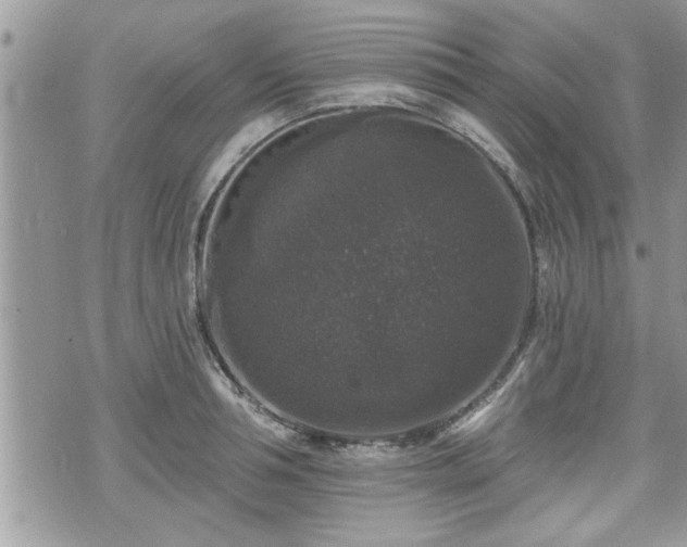 X0000070400994200606161341