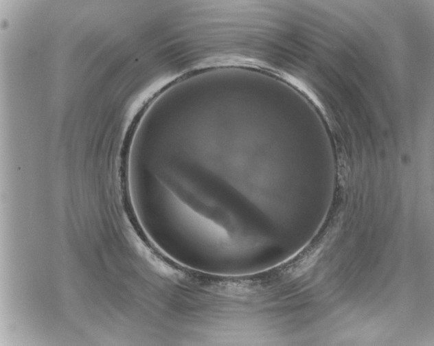 X0000070400995200606161341