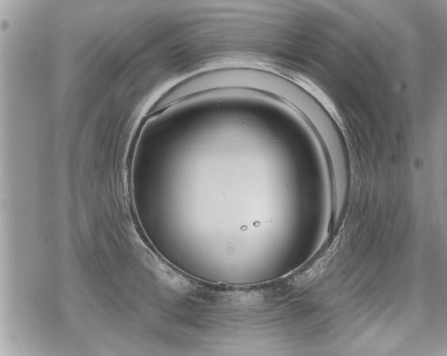 X0000070400996200606161341