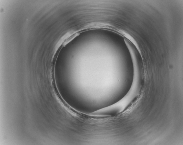 X0000070400997200606161341