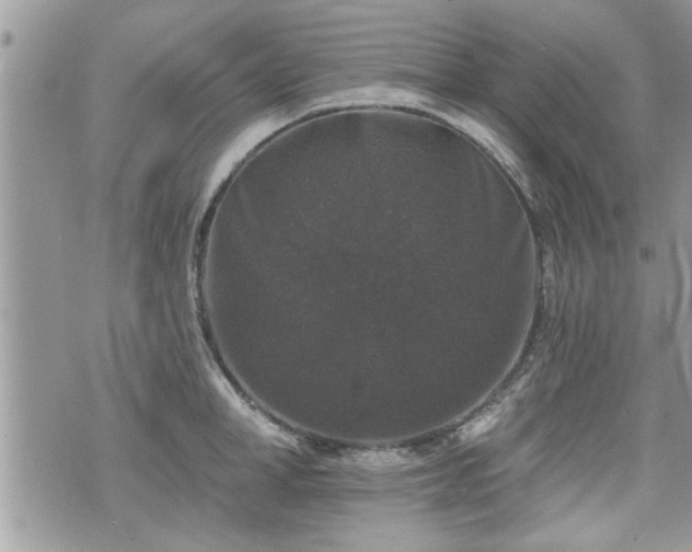 X0000070400998200606161341