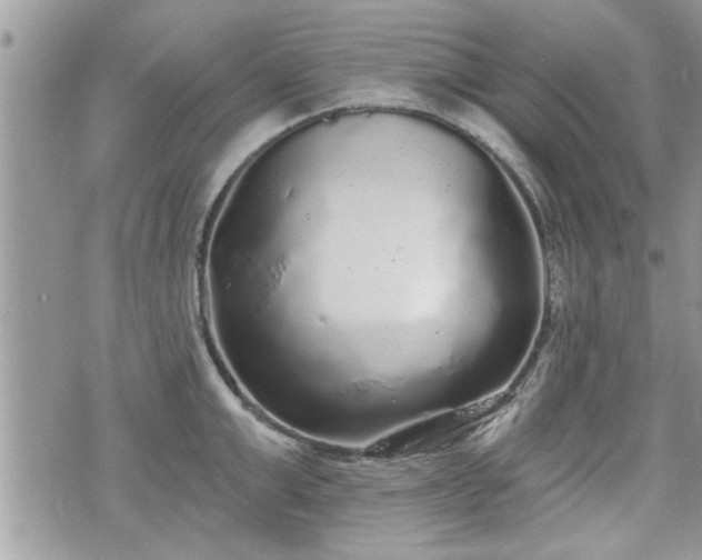 X0000070400999200606161341