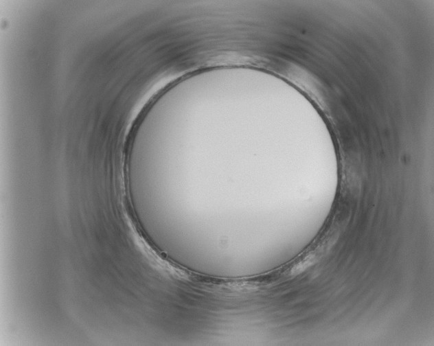 X0000070401000200606161341