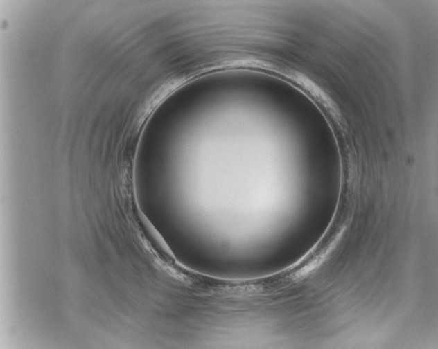 X0000070401001200606161341