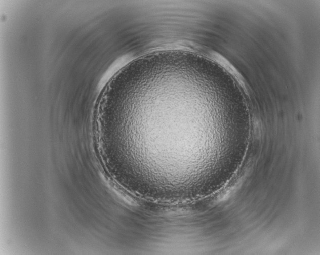 X0000070401002200606161341