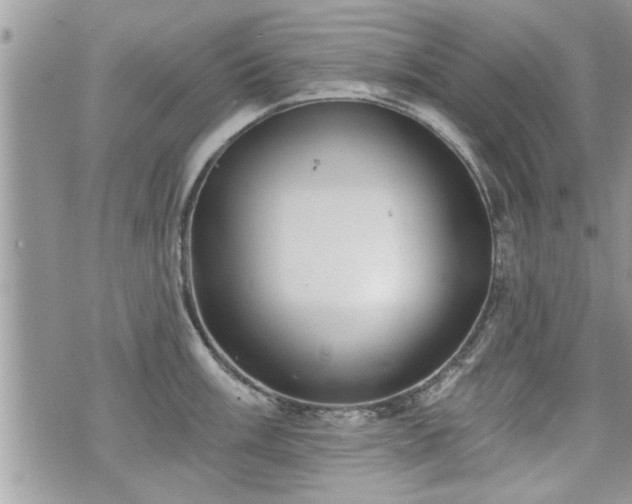 X0000070401003200606161341