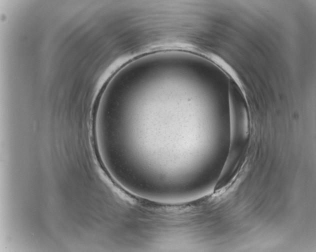 X0000070401005200606161340