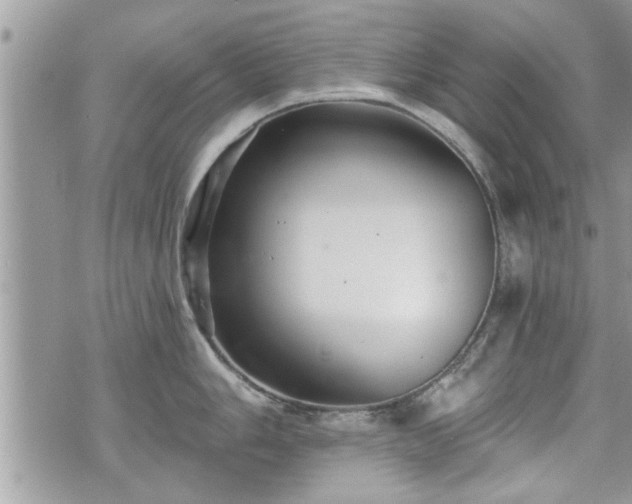 X0000070401006200606161340