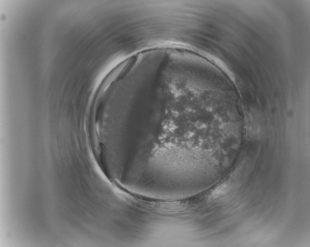 X0000070401007200606161340