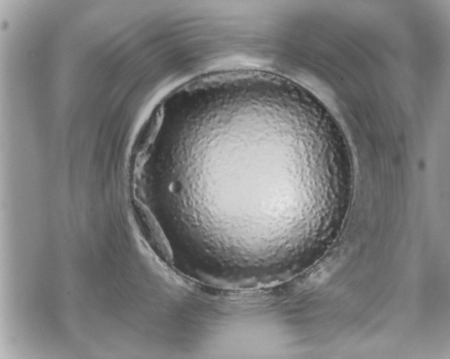 X0000070401008200606161340