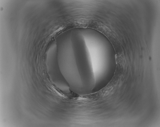 X0000070401009200606161340