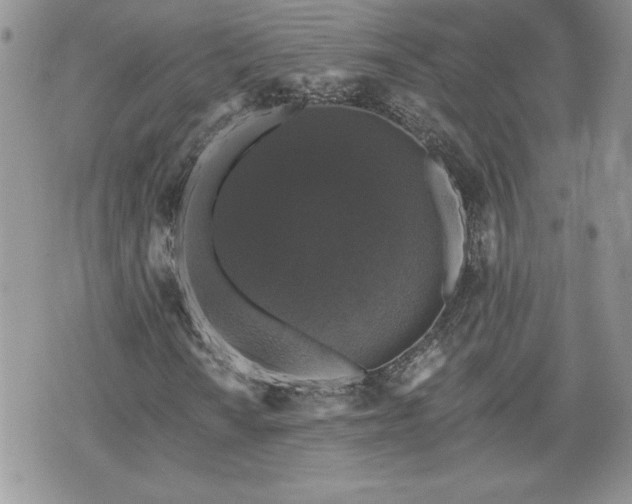 X0000070401010200606161340