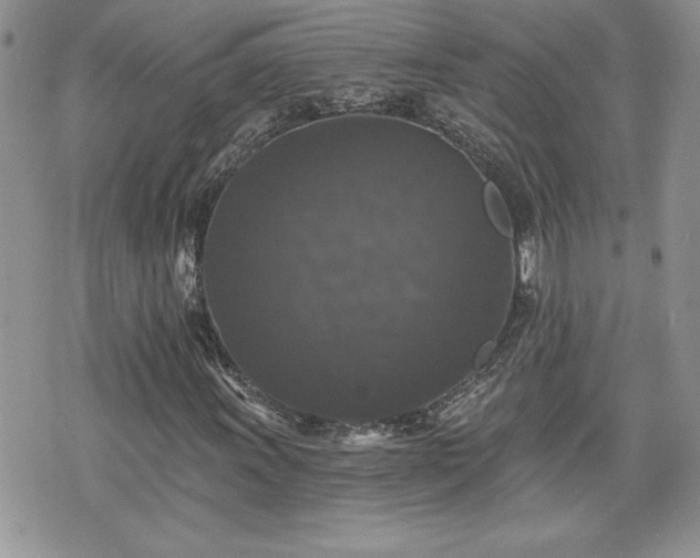 X0000070401011200606161340