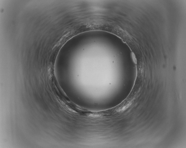 X0000070401012200606161340