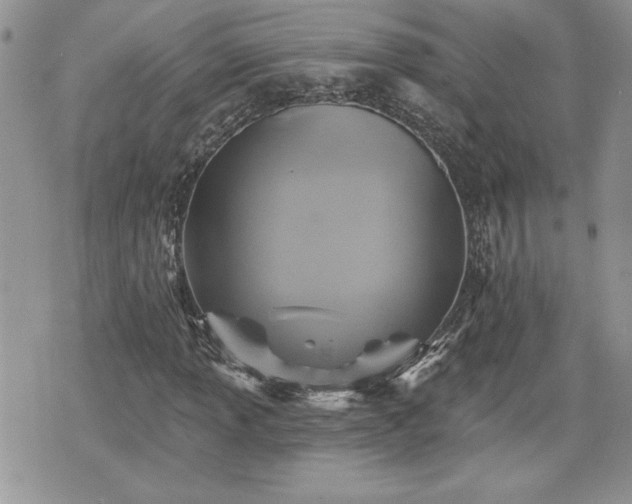 X0000070401013200606161340