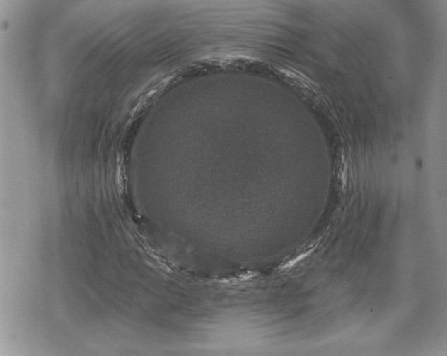 X0000070401014200606161340