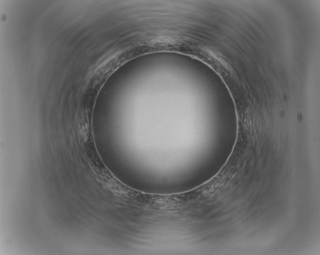 X0000070401015200606161340