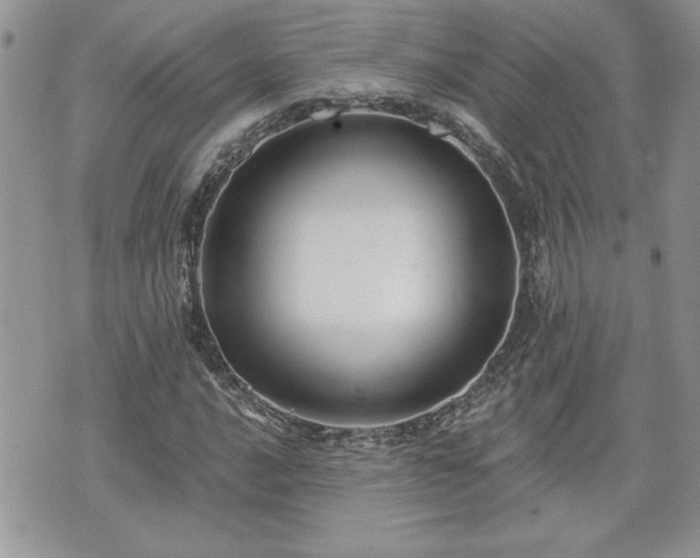 X0000070401016200606161340