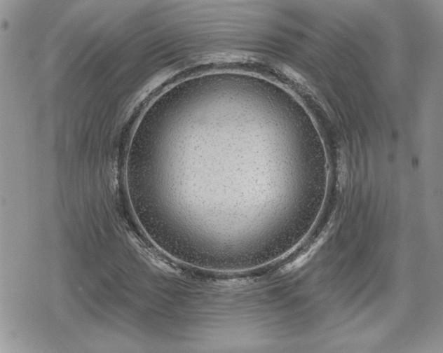 X0000070401017200606161340