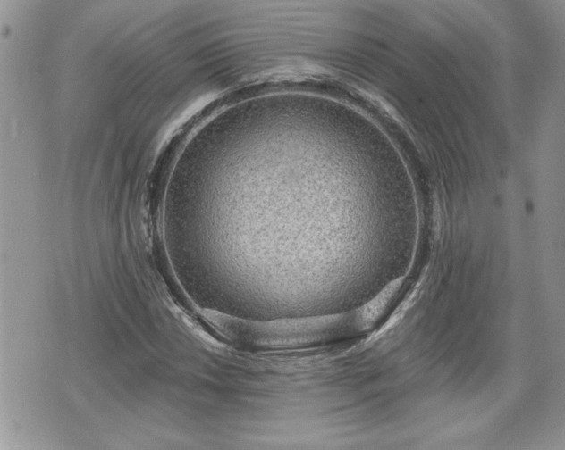 X0000070401018200606161340