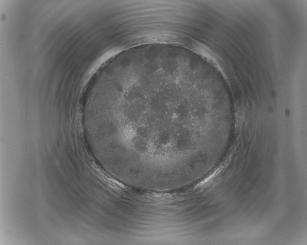 X0000070401019200606161340