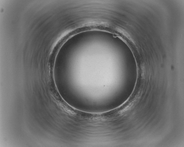 X0000070401021200606161340