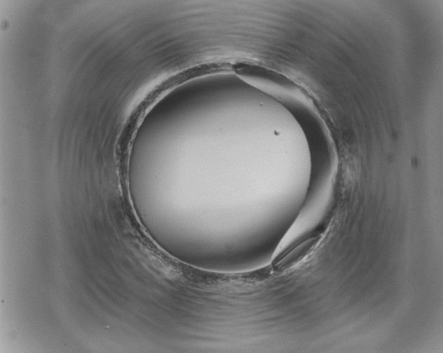 X0000070401022200606161340