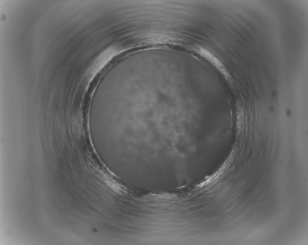 X0000070401023200606161340