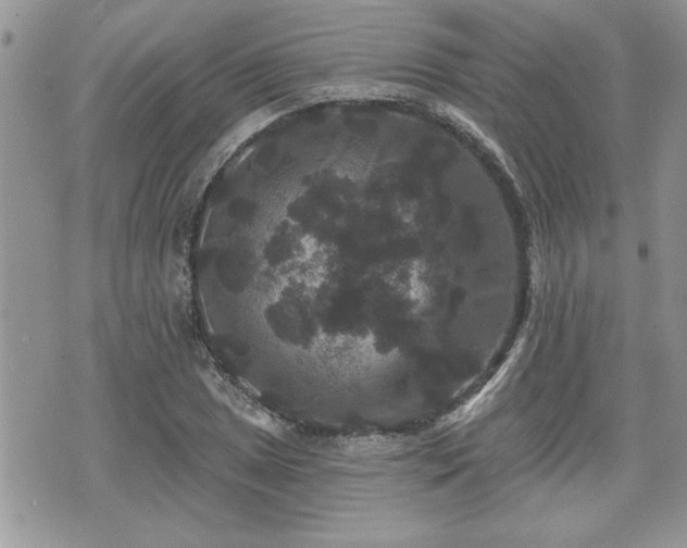 X0000070401025200606161340